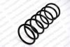 ROC CS0450 Coil Spring